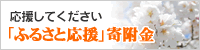 小野小町ふるさと応援寄附金