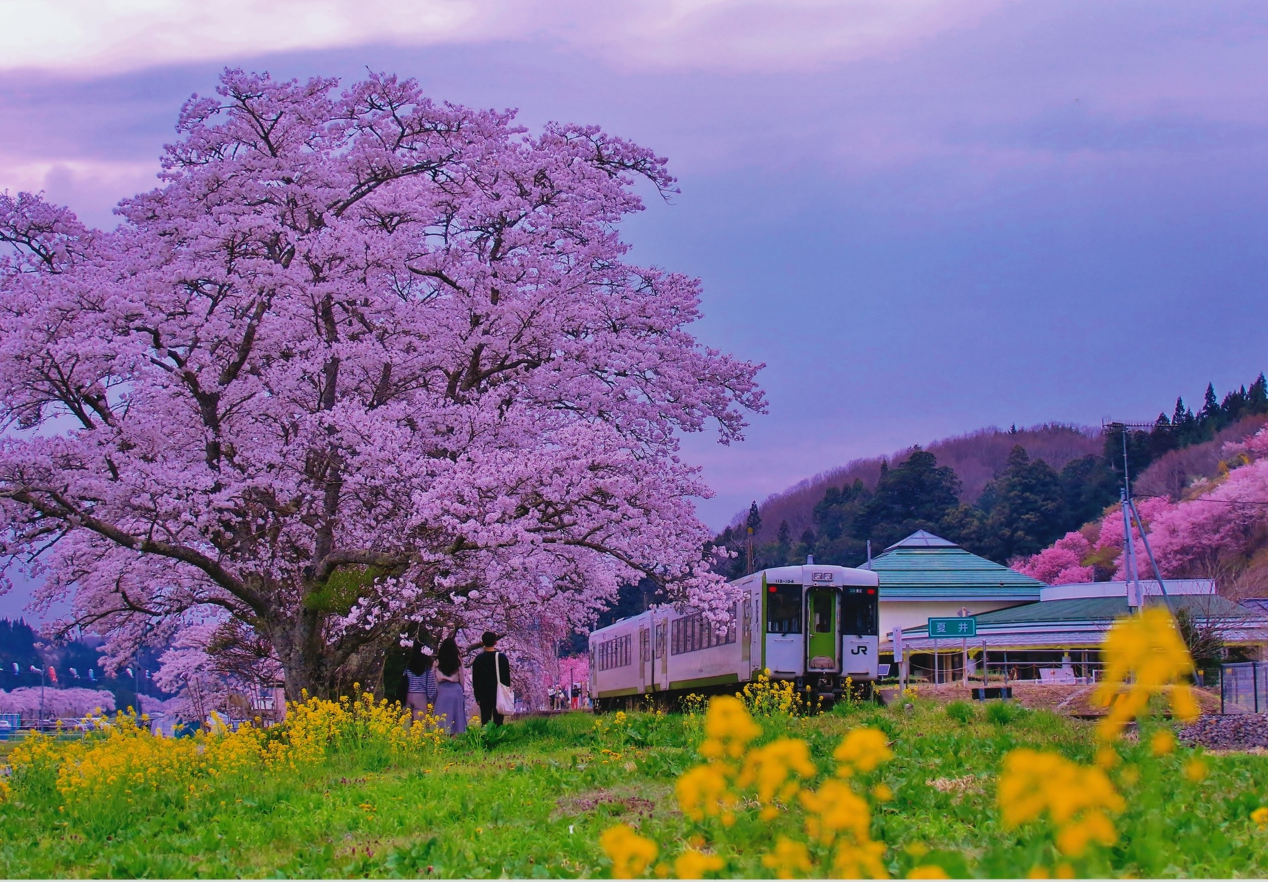 04 R7フォトコン【一般】優秀賞「通り過ぎる春」多熊理桜