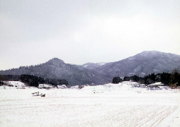 冬の風景の写真