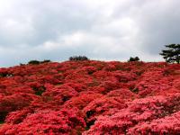 高柴山の写真