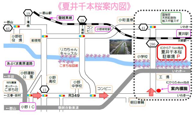 夏井千本桜地図